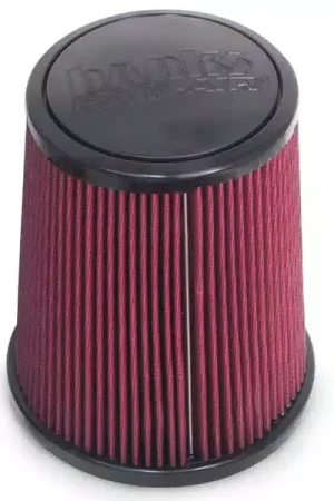 In Demand Banks Ram Air Intake Replacement Filter 42259 | RealTruck