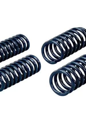 Professional Grade Hotchkis 05-07 Dodge Charger Sport Coil Springs