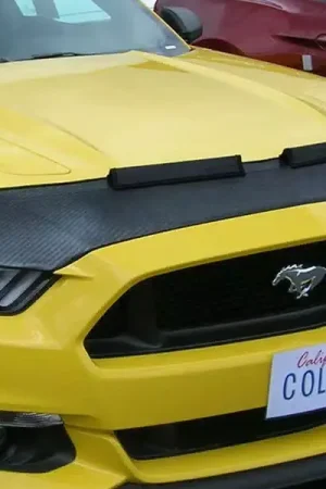 Affordable Colgan Sports Bra BS6129CF | RealTruck