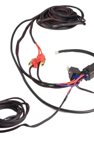 Super Sale Aeromotive Wiring Harness Kit - Dual Fuel Pump