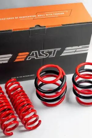 AST 06/2010-03/2017 Opel Meriva Lowering Springs - 30mm/30mm Shop Now
