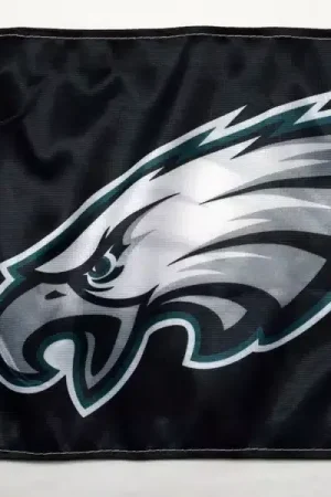 Forever Wave NFL Flag 5083 | RealTruck Free Delivery