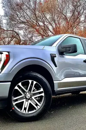 Deal ICI Stainless Steel Rocker Panels T4171-304M | RealTruck