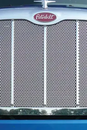 Factory Price RoadWorks Punched Grille Insert N35380-24 | RealTruck