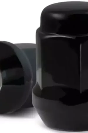 Get Yours RHI Hex Lug Nut Kit 8440K6-B | RealTruck