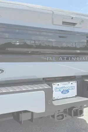 Budget Tufskinz Tailgate Letter Inserts FDD001-GLG-G | RealTruck