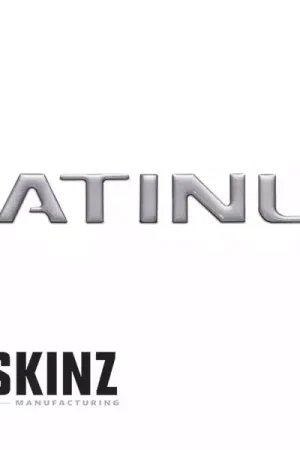 Top Rated Tufskinz Tailgate Letter Inserts FDD001-STW-G | RealTruck