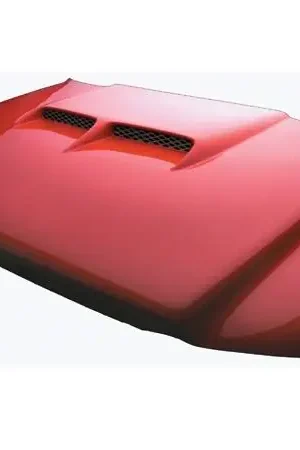 Ford F150 RKSport Big Sky Ram Air Hood - 19012000 Factory Price