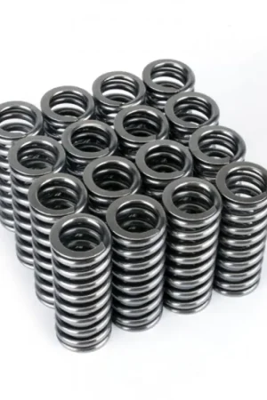 Warranty Included Skunk2 Alpha Series Honda D Series VTEC Valve Spring Set — PMD Premier Motoring Development