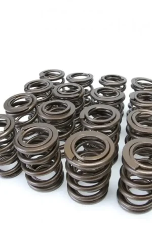 Skunk2 Tuner Series Honda/Acura (B16A/ B17A/ B18C) DOHC VTEC Alpha Val — PMD Premier Motoring Development Modern