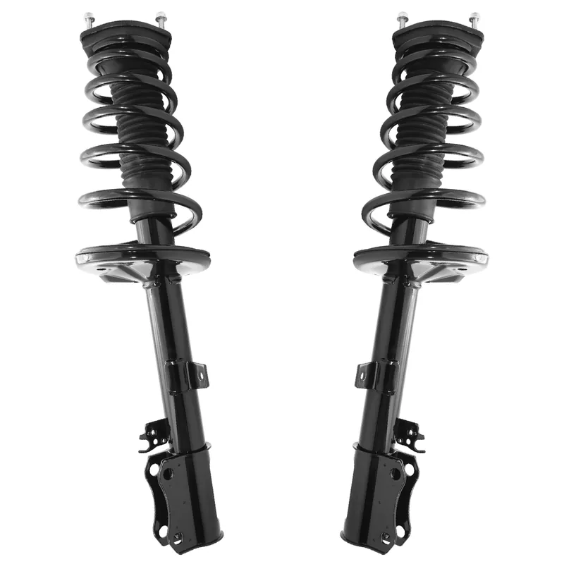 Rear Struts w\\/Coil Spring (Pair) Holiday Sale