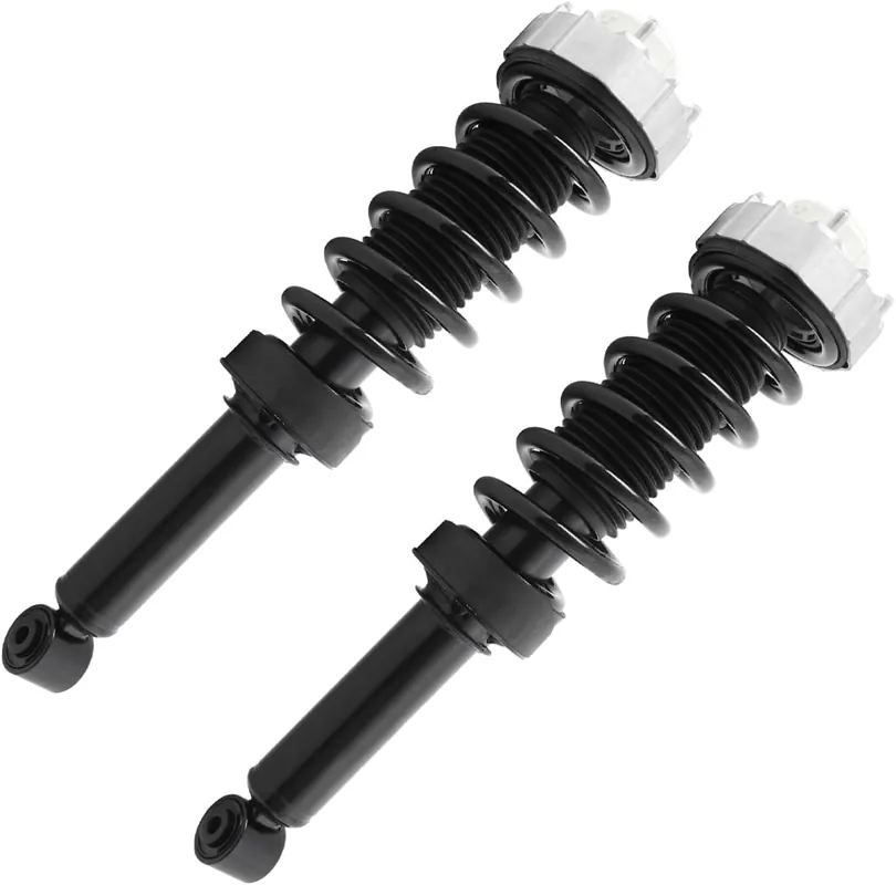 Rear Struts w\\/Coil Spring (Pair) Super Sale
